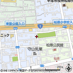 神奈川県平塚市宮の前12-21周辺の地図