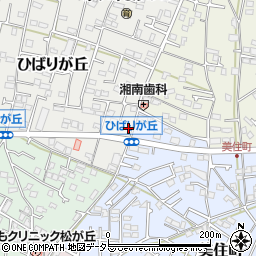 神奈川県茅ヶ崎市ひばりが丘6-36周辺の地図