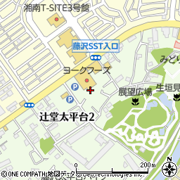 神奈川県藤沢市辻堂太平台2丁目10周辺の地図