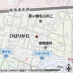 神奈川県茅ヶ崎市ひばりが丘6-16周辺の地図
