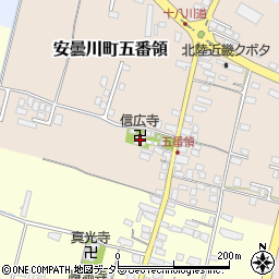 信廣寺周辺の地図
