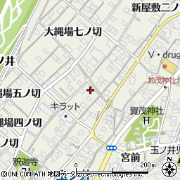 愛知県一宮市木曽川町玉ノ井新屋敷三ノ切43-3周辺の地図