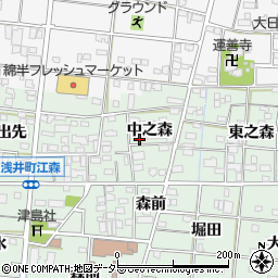 愛知県一宮市浅井町江森中之森45周辺の地図