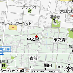 愛知県一宮市浅井町江森中之森47周辺の地図