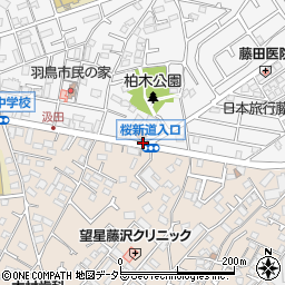桜新道入口周辺の地図