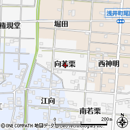 愛知県一宮市浅井町大日比野向若栗周辺の地図