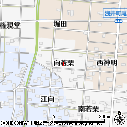 愛知県一宮市浅井町大日比野（向若栗）周辺の地図