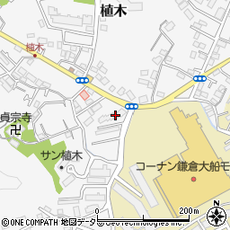 神奈川県鎌倉市植木598周辺の地図