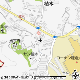 神奈川県鎌倉市植木596-5周辺の地図