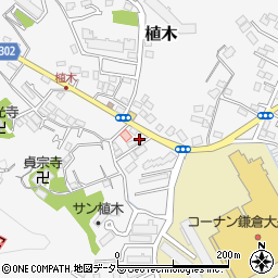 神奈川県鎌倉市植木594-1周辺の地図