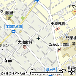 愛知県江南市前飛保町藤町周辺の地図