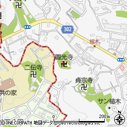 神奈川県鎌倉市植木549周辺の地図