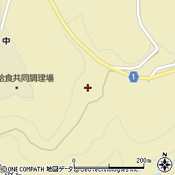 長野県下伊那郡泰阜村6299周辺の地図