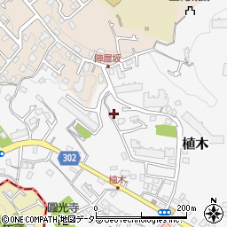 神奈川県鎌倉市植木420周辺の地図