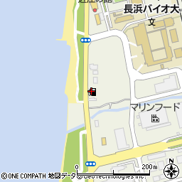ＥＮＥＯＳセルフステーション長浜ドームＳＳ周辺の地図