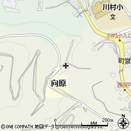 神奈川県足柄上郡山北町岸1894周辺の地図