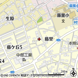 愛知県江南市村久野町藤里107周辺の地図