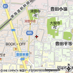 神奈川県平塚市豊田本郷1785周辺の地図