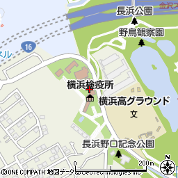 横浜検疫所周辺の地図