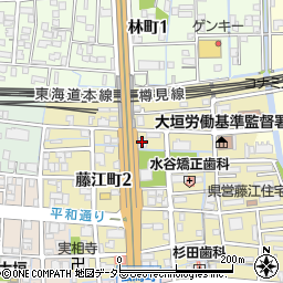 キャッスルハイツ大垣藤江町周辺の地図