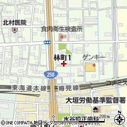 岐阜県大垣市林町1丁目164周辺の地図