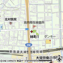 岐阜県大垣市林町1丁目154周辺の地図