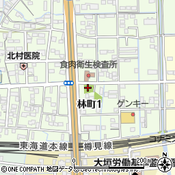 〒503-0015 岐阜県大垣市林町の地図
