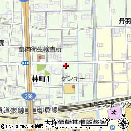 岐阜県大垣市林町1丁目197周辺の地図