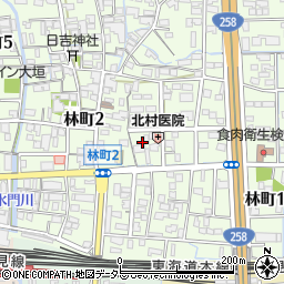 岐阜県大垣市林町1丁目48周辺の地図