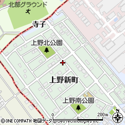 愛知県犬山市上野新町244-1周辺の地図