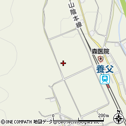 兵庫県養父市堀畑118周辺の地図