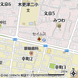 ドラッグセイムス木更津店周辺の地図