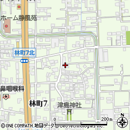 岐阜県大垣市林町7丁目515周辺の地図