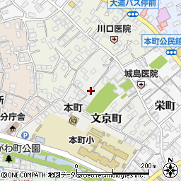 文京ハイツ周辺の地図