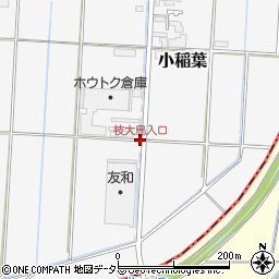 枝大島入口周辺の地図