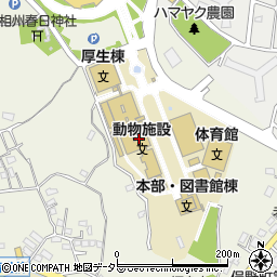横浜薬科大学周辺の地図