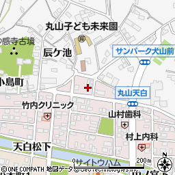 愛知県犬山市丸山天白町161周辺の地図