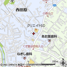 神奈川県秦野市西田原245周辺の地図