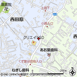 神奈川県秦野市西田原248周辺の地図