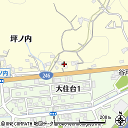 神奈川県伊勢原市坪ノ内721周辺の地図