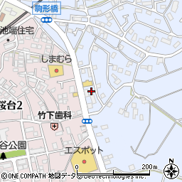 神奈川県伊勢原市池端419-8周辺の地図
