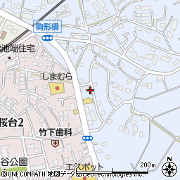神奈川県伊勢原市池端419-3周辺の地図