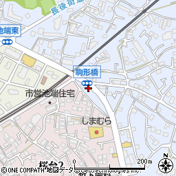 神奈川県伊勢原市池端286-13周辺の地図