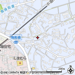 神奈川県伊勢原市池端455-1周辺の地図