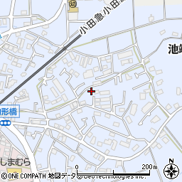 神奈川県伊勢原市池端458-9周辺の地図