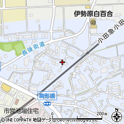 神奈川県伊勢原市池端265-13周辺の地図