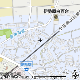 神奈川県伊勢原市池端272-5周辺の地図