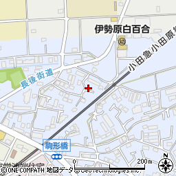 神奈川県伊勢原市池端272-10周辺の地図