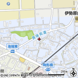 神奈川県伊勢原市池端249-8周辺の地図