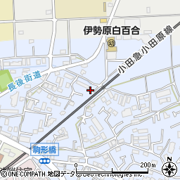 神奈川県伊勢原市池端271周辺の地図